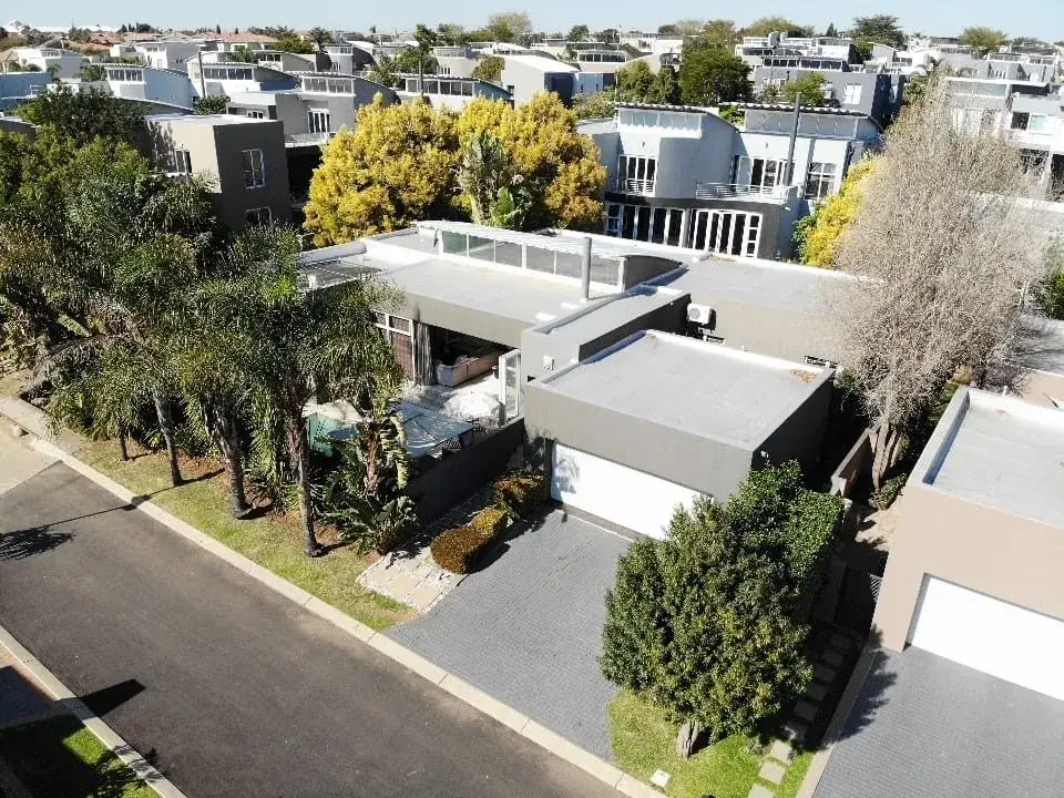 Modern home with palm trees
