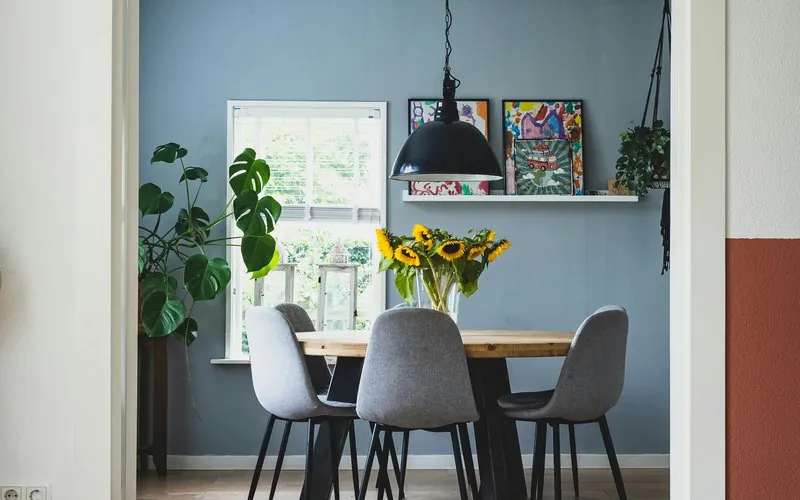Cozy home dining room with plants and natural light
